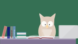 Learning Owl In Green Background Wallpaper